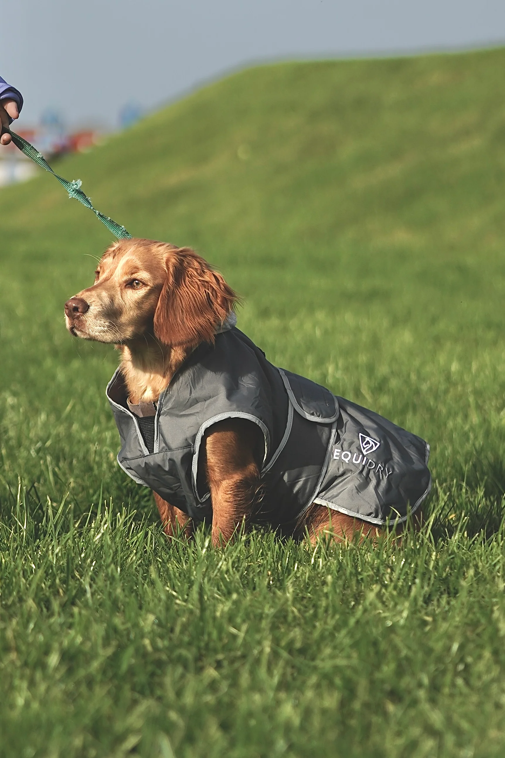 Waterproof Dog Coat | Grey/Lilac - Image 4