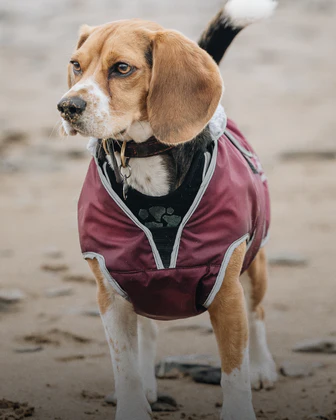 Waterproof Dog Coat | Plum/Grey - Image 4