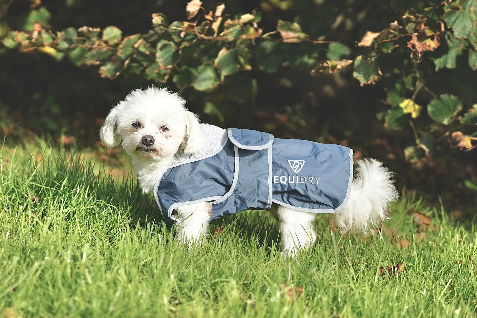 Waterproof Dog Coat | Steel Blue/Grey - Image 5